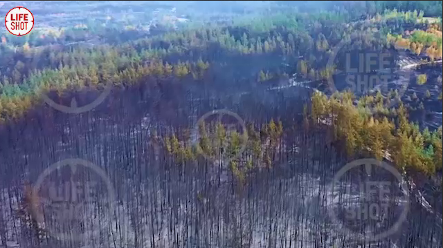 Пожары в Воронежской области приостановлены - СМИ - фото 2