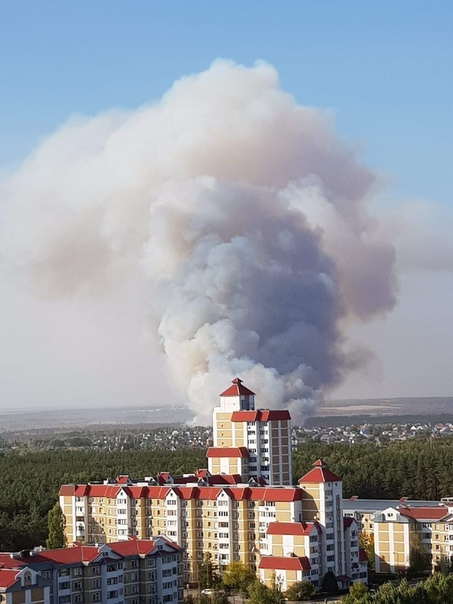 В Воронежской области разгулялась огненная стихия - фото 2