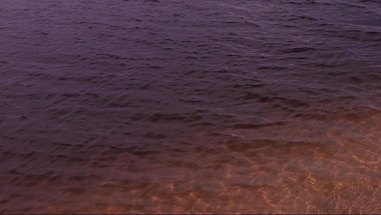В реке Псёл гибнет рыба, а вода малинового цвета - фото 1