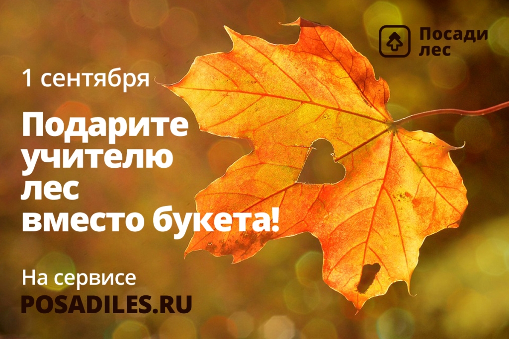 В преддверии 1 сентября Движение ЭКА запустило акцию “Лес вместо букета” - фото 1