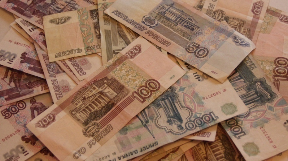 В Воронежской области за загрязнение почвы оштрафована компания «Павловск Неруд»  - фото 1