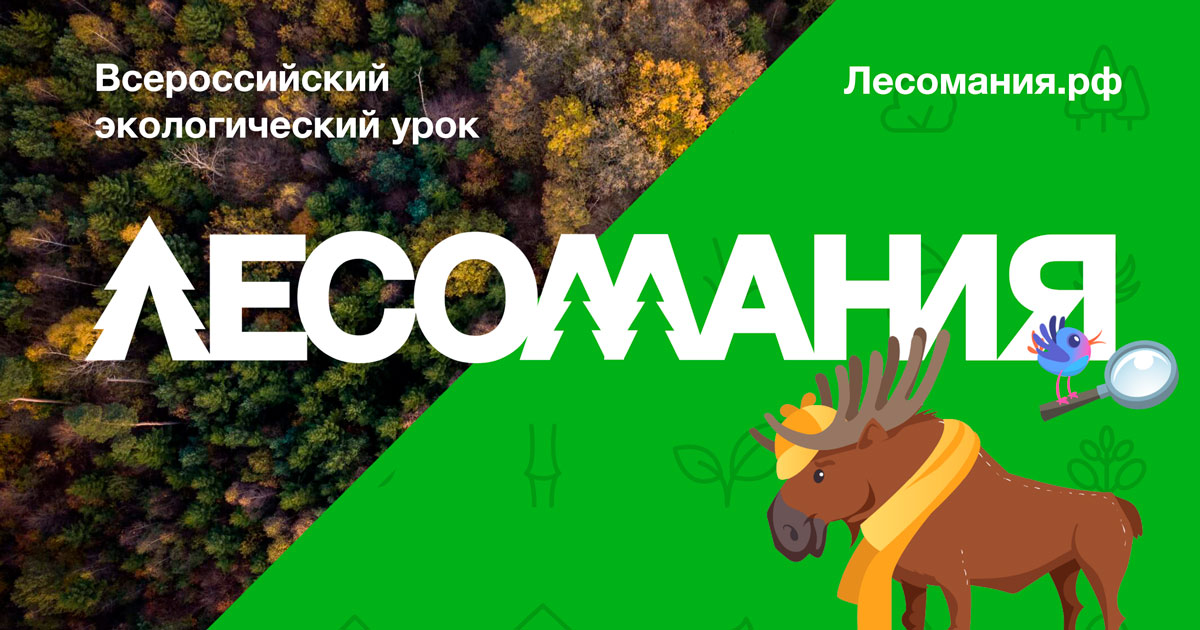 Интерактивный урок “Лесомания” выпущен к Российским дням леса - фото 1
