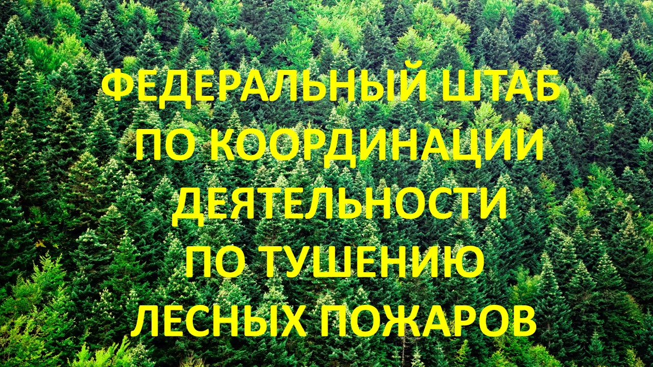 Заседание оперативного штаба по координации деятельности по тушению лесных пожаров - фото 1