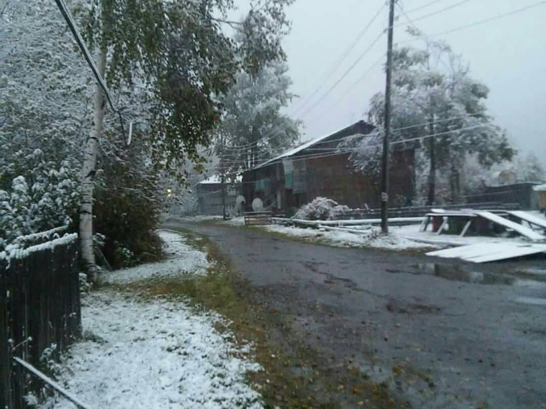 В Амурской области выпал снег - фото 2