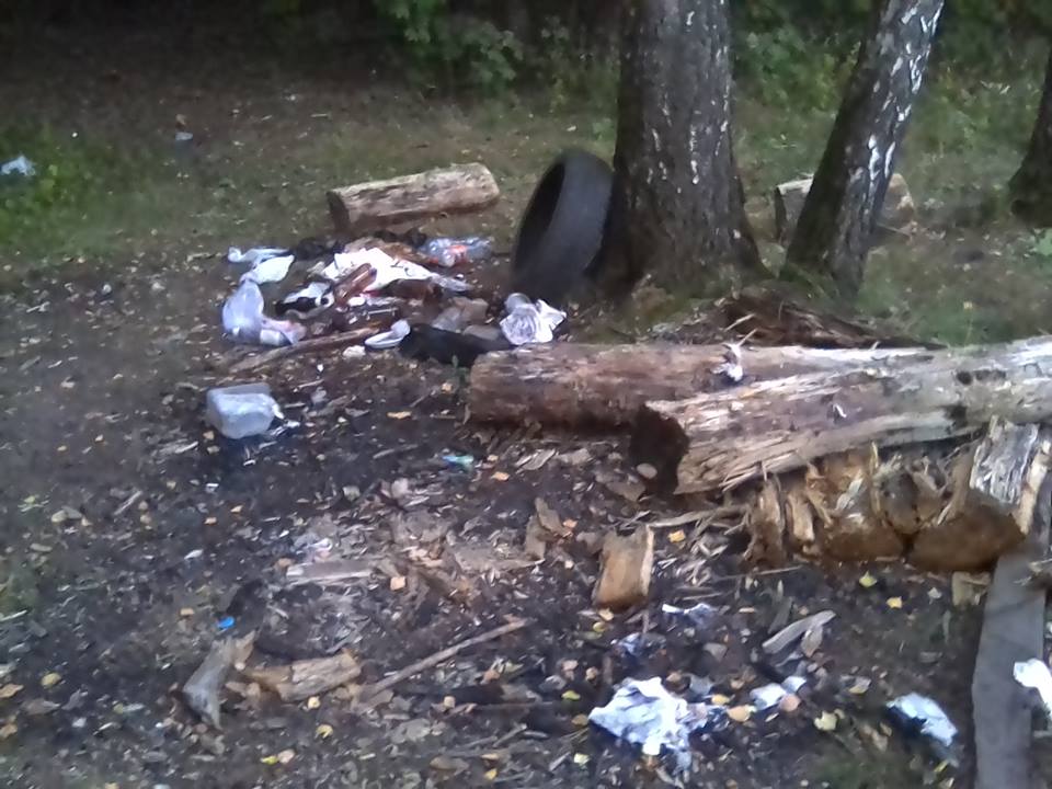 Уничтожающее вокруг все живое «благоустройство»… - фото 3