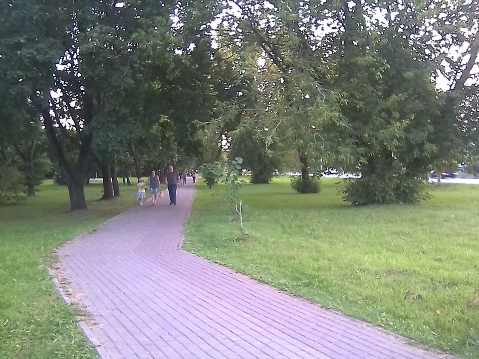 Уничтожающее вокруг все живое «благоустройство»… - фото 7