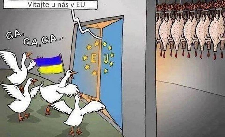 Украина незалэжна=самоуничтожаема - фото 2