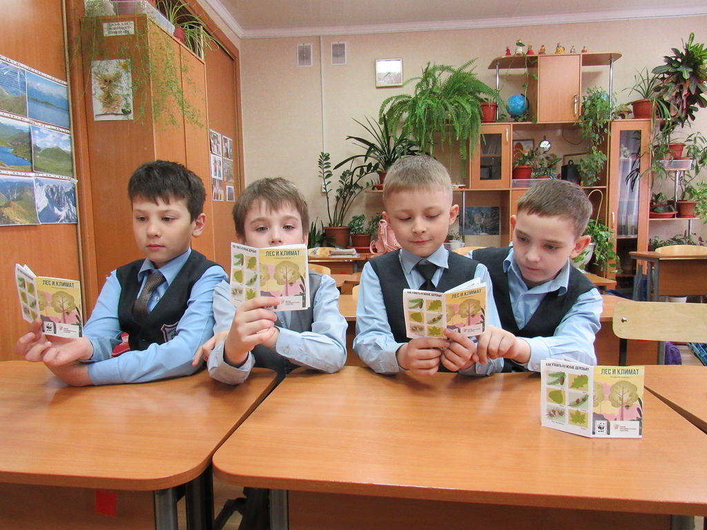 Более 300 учителей Мордовии проводят экологические уроки в школах - фото 3