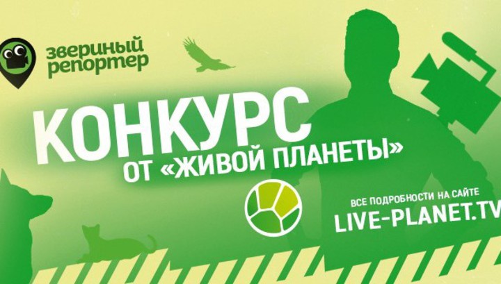Канал «Живая Планета» ищет и награждает «звериных репортеров» - фото 1