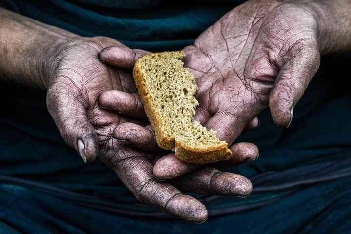 Фотограф из Бердска уличила киприота в краже своей фотографии, с которой тот победил на международном конкурсе - фото 1
