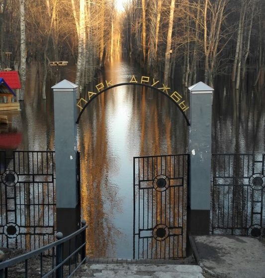 Паводок в Тамбовской области. Начался спад воды - фото 13