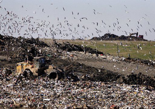 Добыча и использование свалочного газа в Великобритании - фото 2