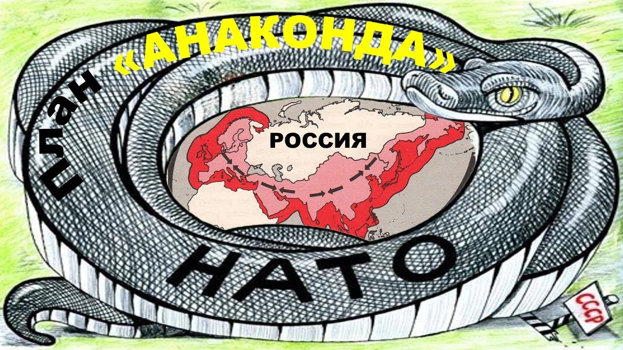 План анаконда. Кольцо анаконды геополитика. Операция кольцо анаконды. Петля анаконды вокруг России.