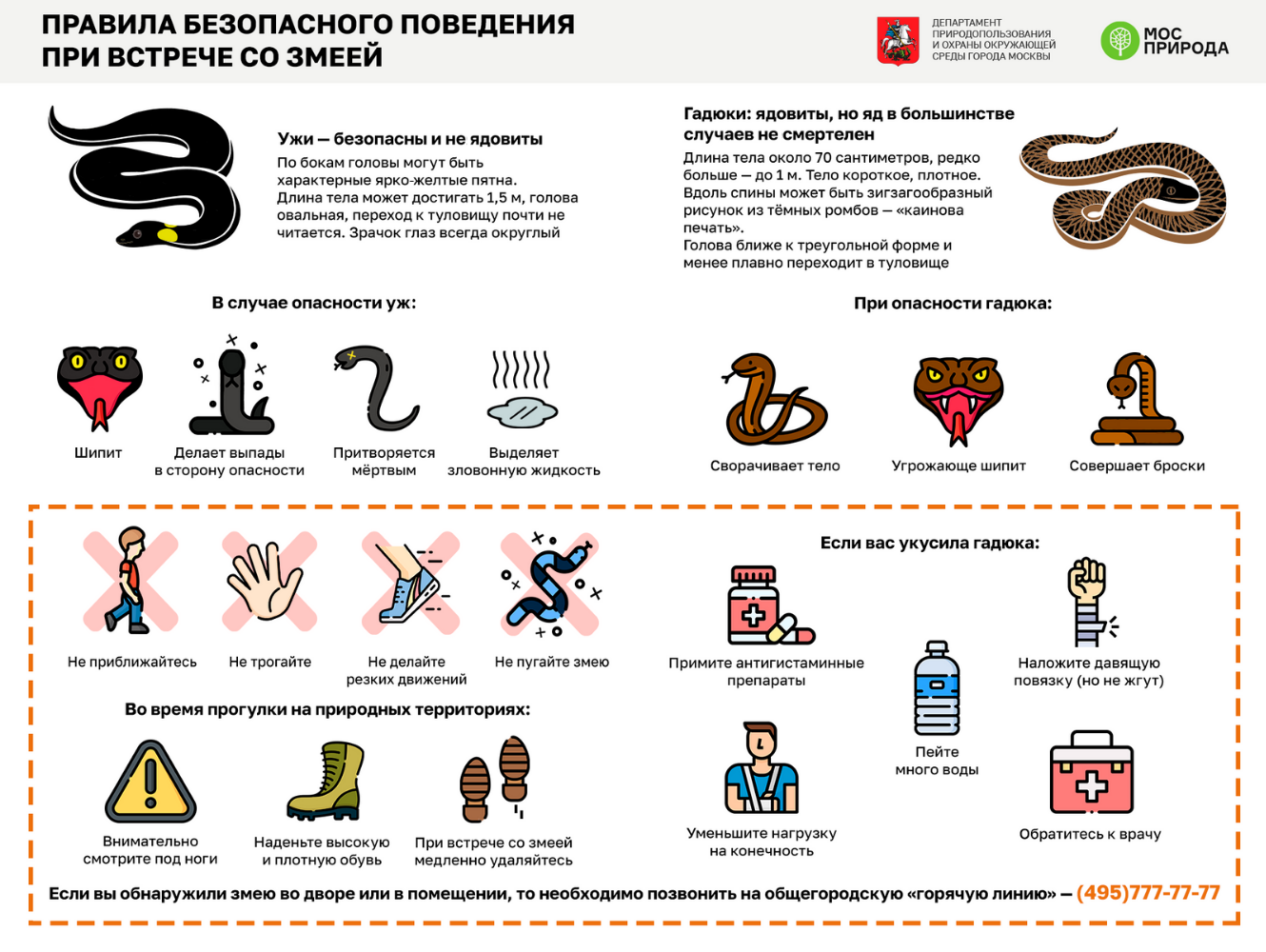 Брачный период у змей: скоро ужи начнут откладывать яйца - фото 6