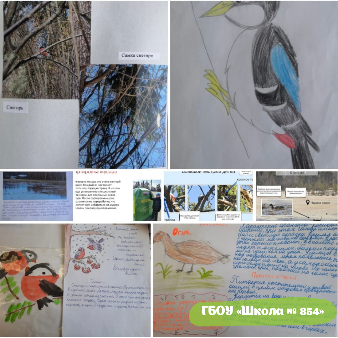 В апреле создано более 45 страниц в рамках проекта «Дневник натуралиста» Мосприроды - фото 1