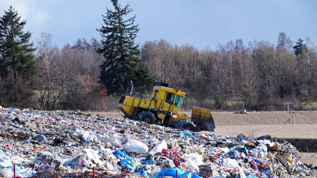 Россияне смогут отмечать экологические нарушения на карте Ecowiki.ru - фото 2