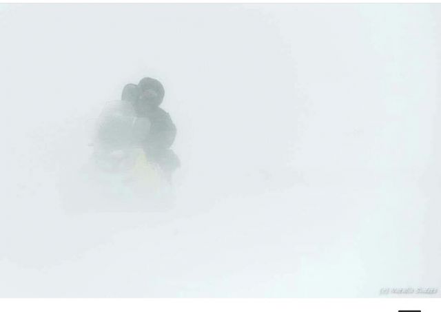 Ледяной буран в степи и лошади Пржевальского  - фото 10