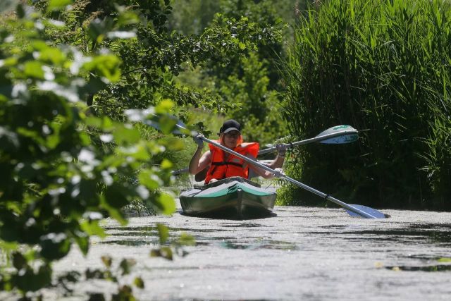 В «Лосином острове» организовали водный маршрут на байдарках - фото 4