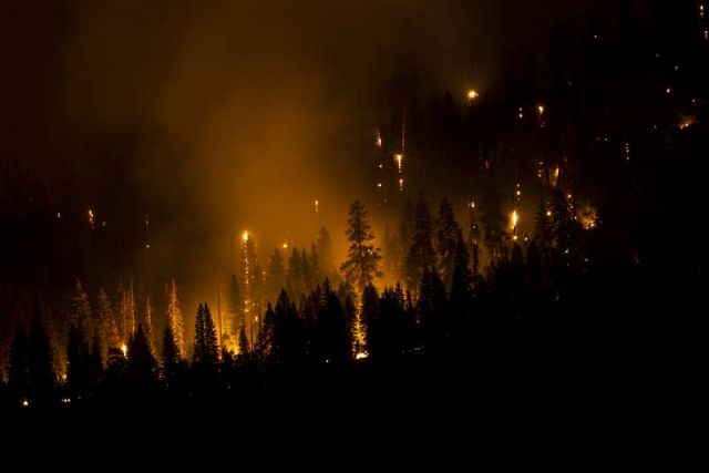 Пожары вплотную приблизились к роще Марипоза, дому для 500 гигантских деревьев - фото 2