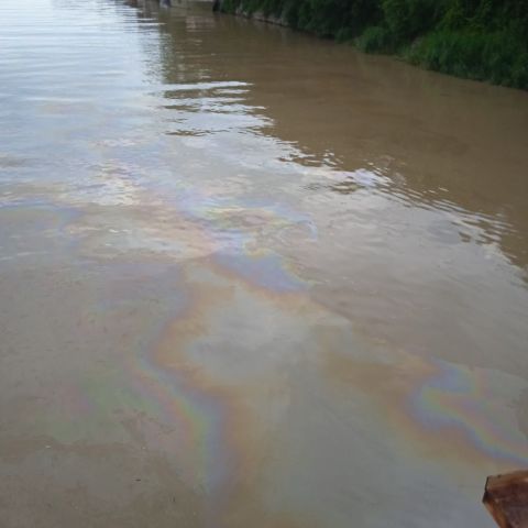 Нефтяное пятно в реке в Туапсе - фото 4