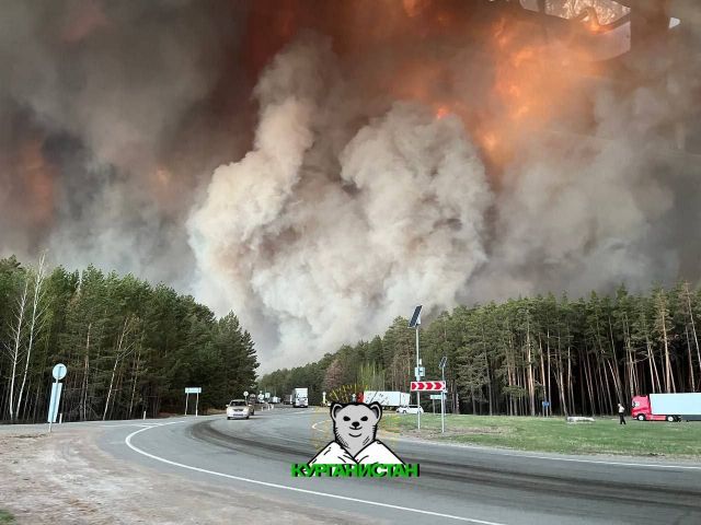 Ситуация с пожарами в Свердловской области стабилизируется, но на критическом уровне и в сопровождении активного «терминотворчества»… - фото 4
