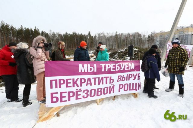 4 года борьбы за спасение Березовой рощи в Екатеринбурге: основные итоги - фото 2