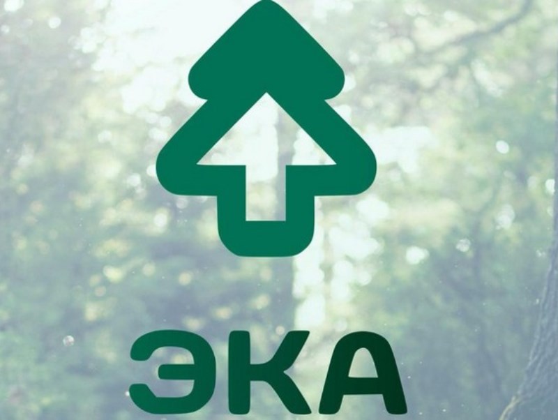 Движение ЭКА запускает серию онлайн-мастерских по бизнес-проектированию для «зеленых» проектов - фото 1