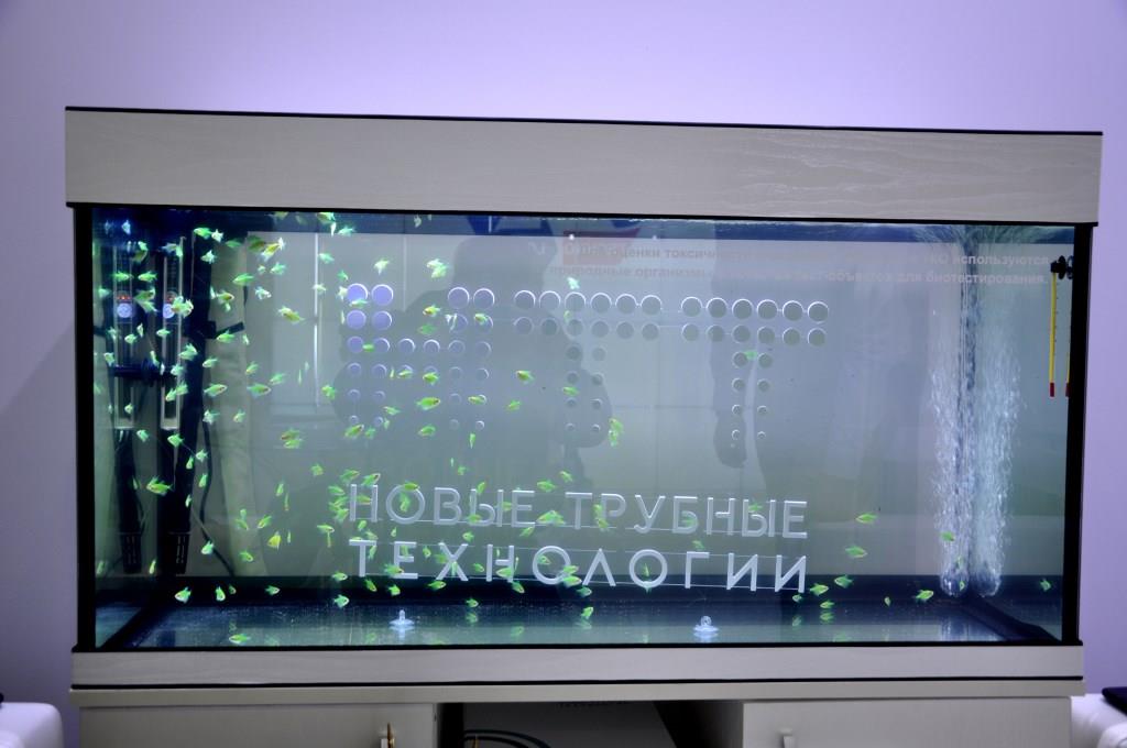 Выставка экологических технологий и инноваций Wasma 2023 - фото 12
