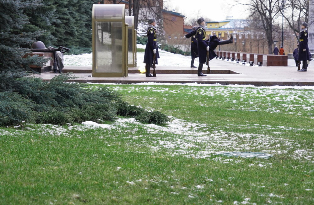 Дождь в январе. Каким будет лето? - фото 1