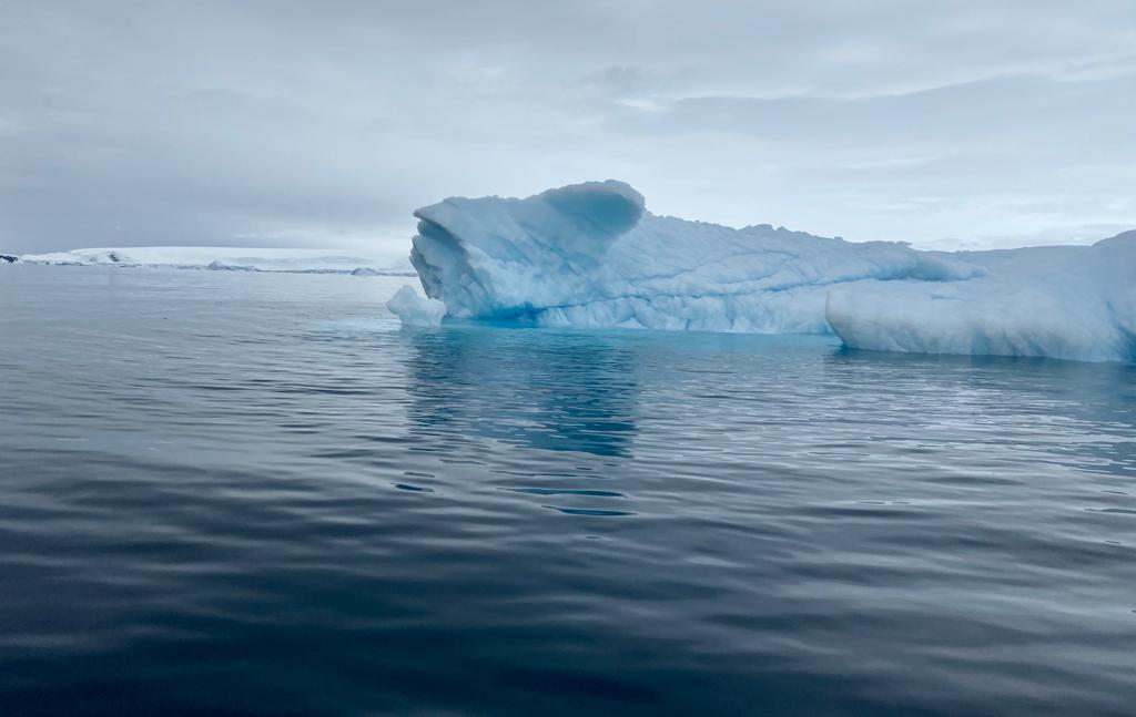 Антарктида летом - фото 1
