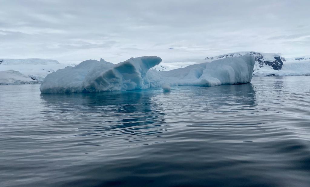 Антарктида летом - фото 2