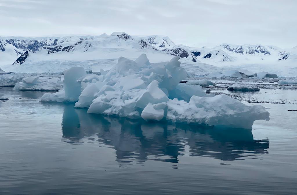 Антарктида летом - фото 3
