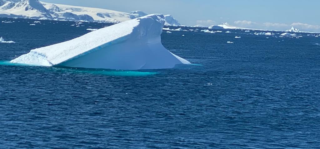 Антарктида летом - фото 14