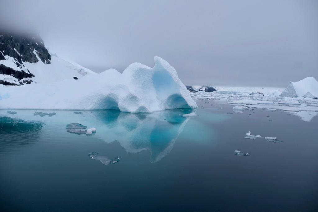 Антарктида летом - фото 15