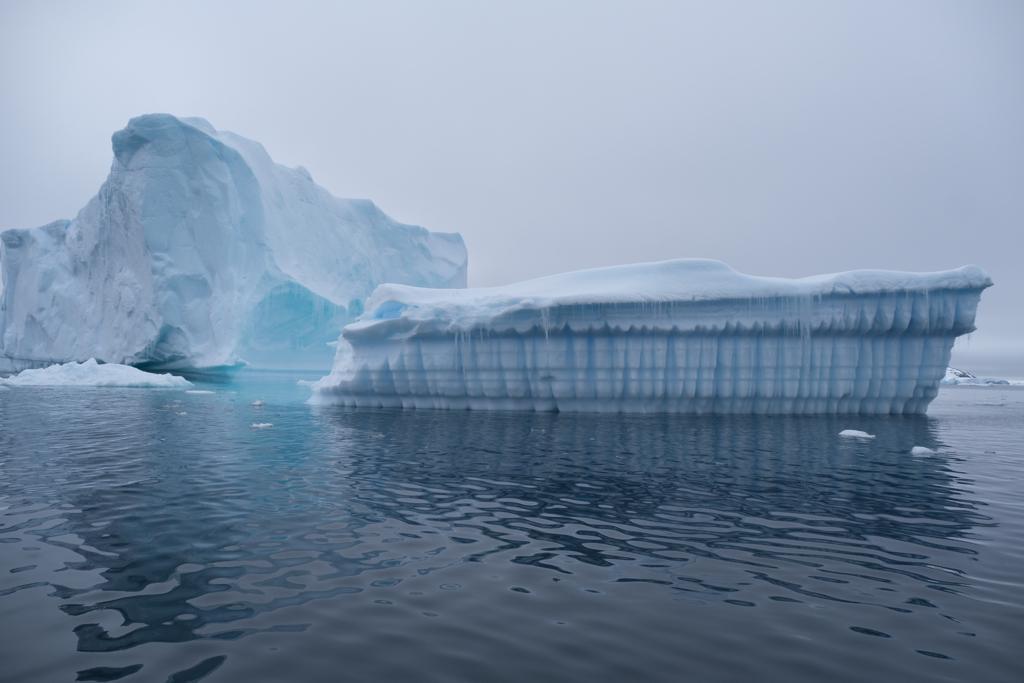 Антарктида летом - фото 17