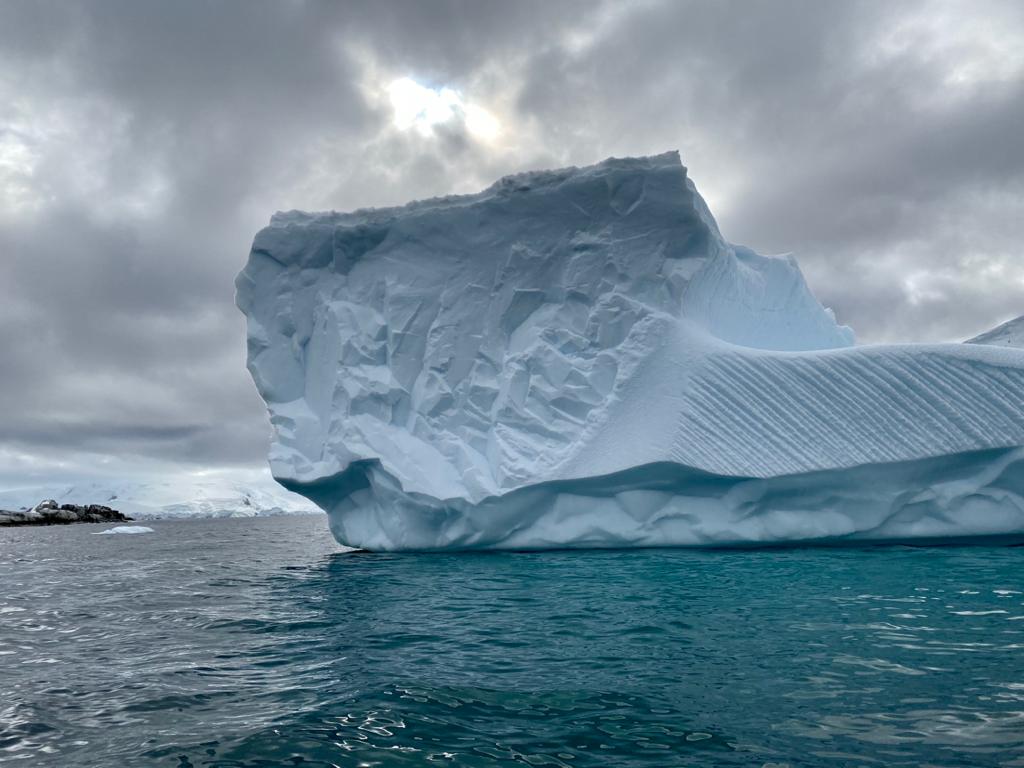 Антарктида летом - фото 22