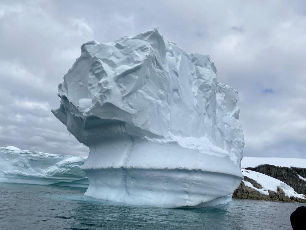 Антарктида летом - фото 24