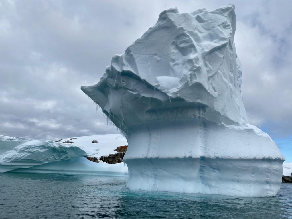 Антарктида летом - фото 25