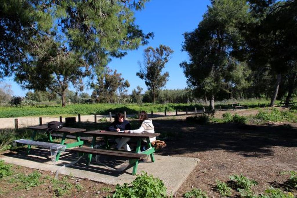 Израиль: Отдых на природе стал доступнее для людей с ограниченными возможностями - фото 6
