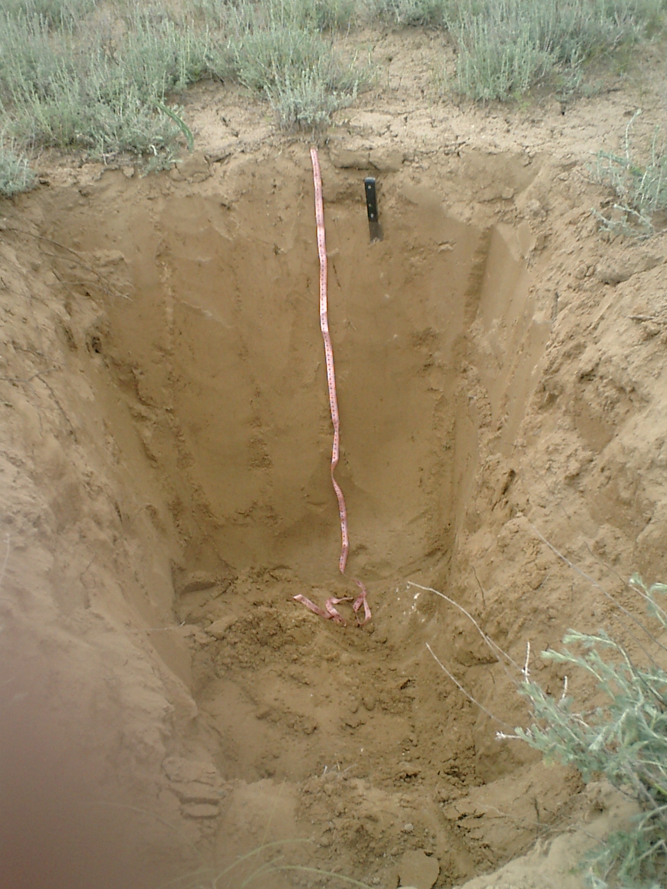 Географы МГУ изучают воздействие керасиновых топлив на почвы - фото 7