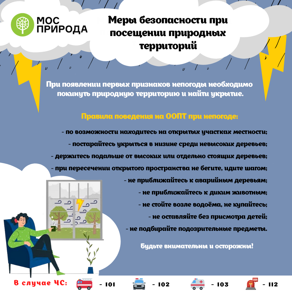 Памятка: меры безопасности на природных территориях Москвы при непогоде - фото 2