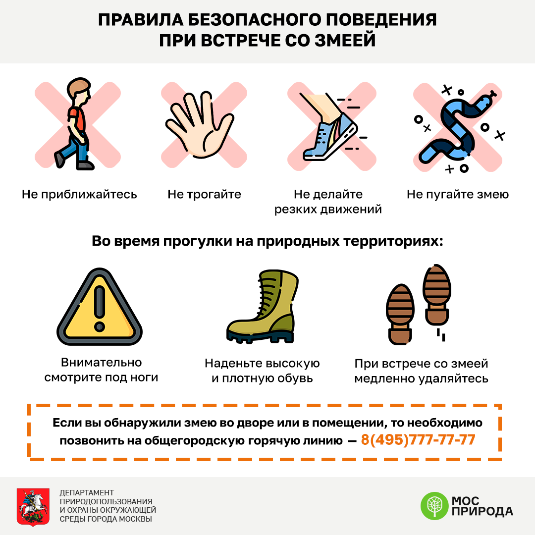 Мосприрода разработала карту обитания змей на природных территориях столицы - фото 3