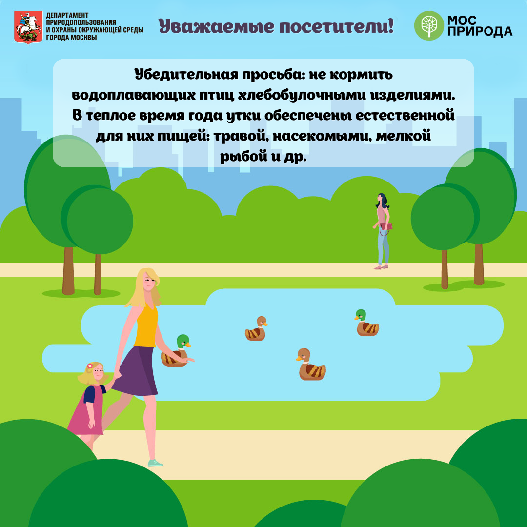 Специалисты Мосприроды призвали москвичей отказаться от подкормки водоплавающих летом - фото 2