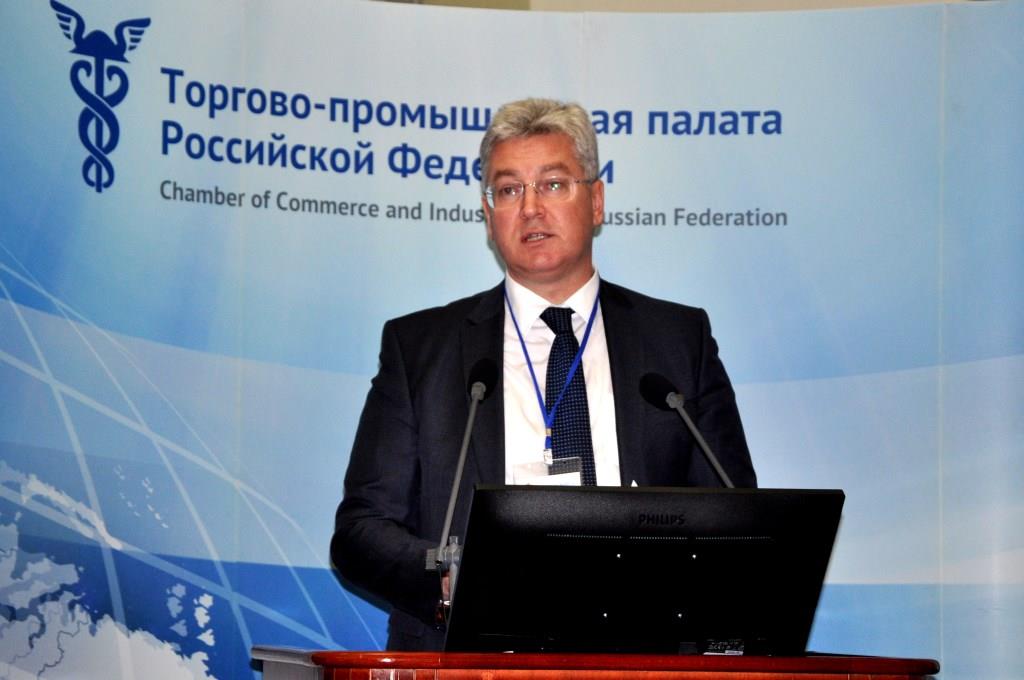 В ТПП РФ российским и зарубежным инвесторам представили возможности Самарской области - фото 4
