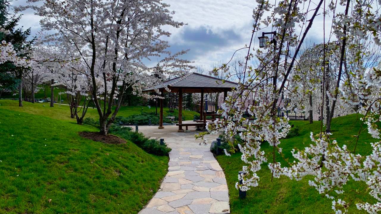 Евгений Витишко: В парке «Краснодар» открылся Японский сад - фото 4