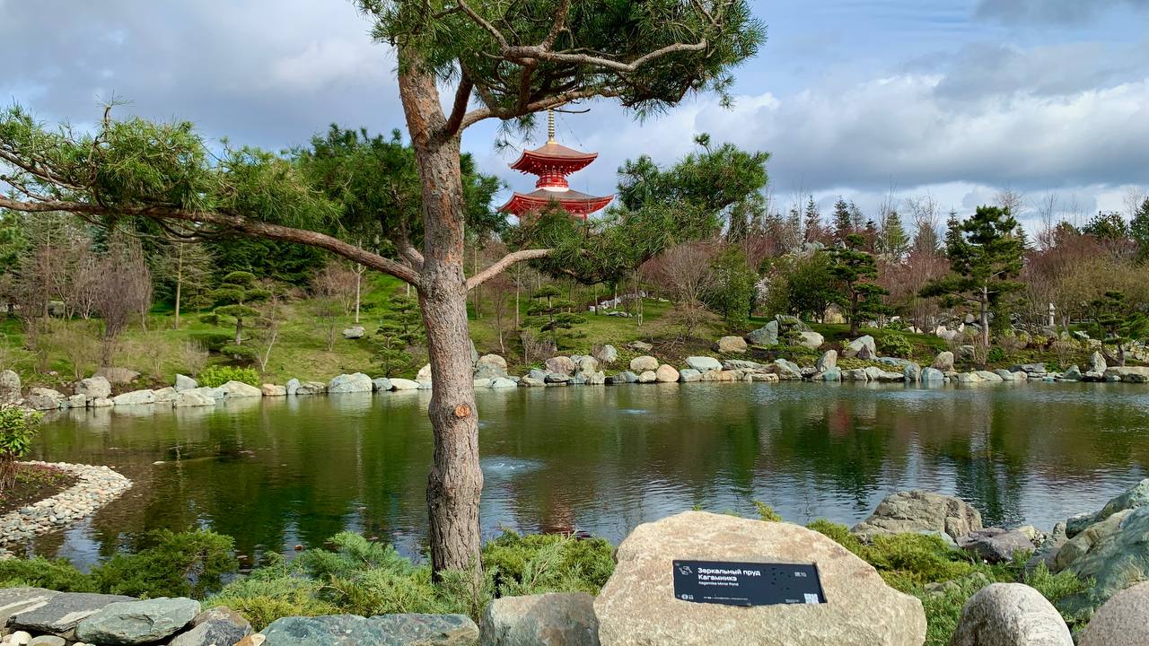 Евгений Витишко: В парке «Краснодар» открылся Японский сад - фото 7