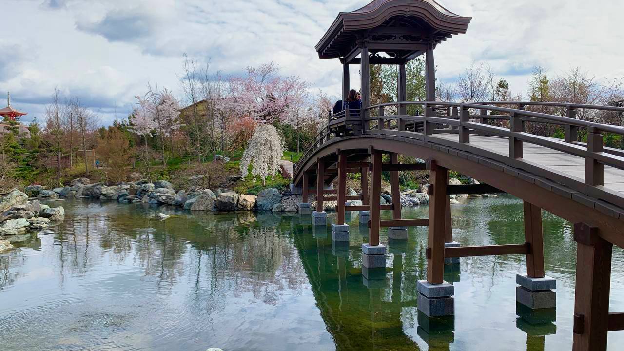 Евгений Витишко: В парке «Краснодар» открылся Японский сад - фото 10