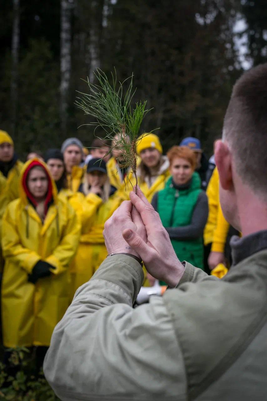 В Международный день лесов S8 Capital и «РусКлиматФонд» отчитались  об итогах совместных акций по высадке молодых деревьев - фото 4