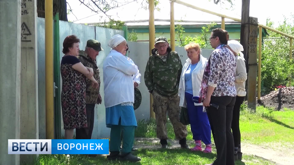 В Воронежской области жители просят объявить ЧС из-за нашествия комаров - фото 3