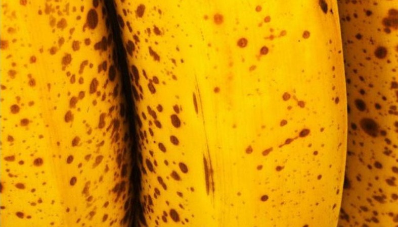 Опасность для здоровья бананов с красными пятнышками - фото 1